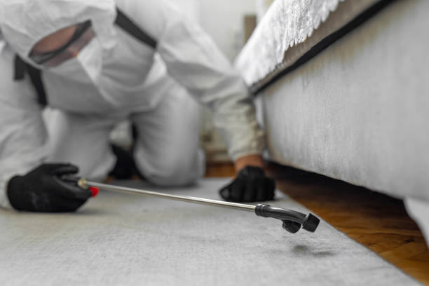 Professional Cockroach Control technician working in Weston, OH