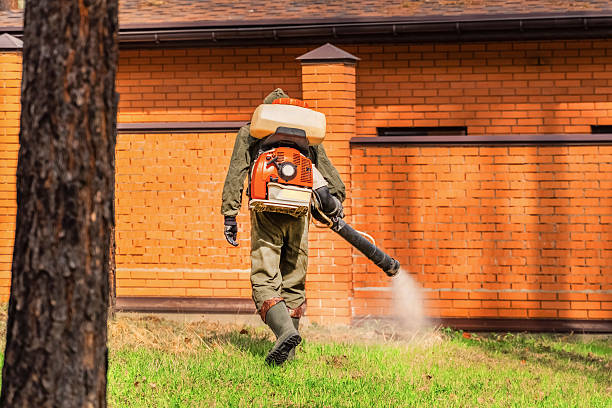 Trusted Termite Control service in Weston, OH - Nex Pest Control
